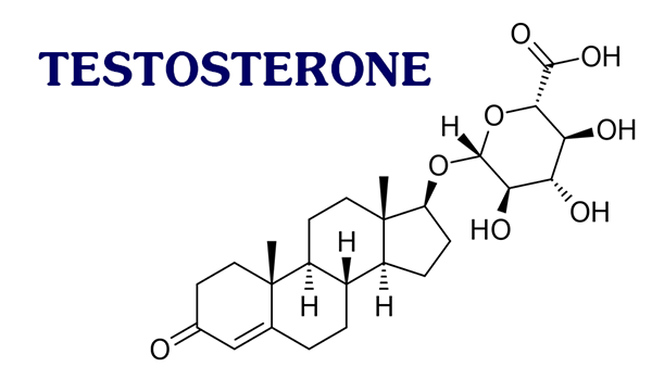 does-testosterone-increase-height