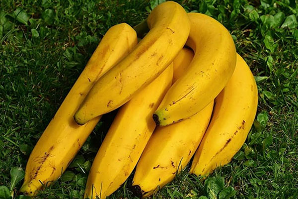 Does-eating-bananas-increase-height